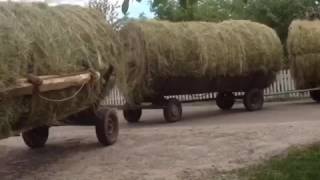 покос сена , 3 повозки, hay removal