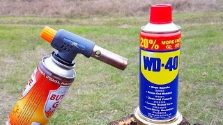 WD 40 VS GAS TORCH