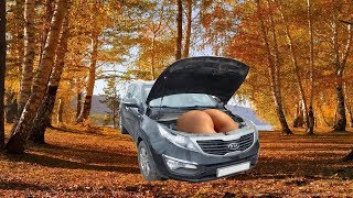 ВСЕ ПРОБЛЕМЫ KIA SPORTAGE 3. Cамый СУКА ЧЕСТНЫЙ тест драйв. РАЗОБЛАЧЕНИЕ KIA?