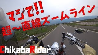 【Motovlog】Harley-Davidson  ビーナスラインが有名ですがエコーライン&ズームラインも最高！