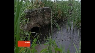 "Река отравлена!": жители Хакасии бьют тревогу