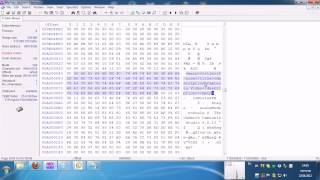 Извлечение SWF из EXE (Camtasia Studio)