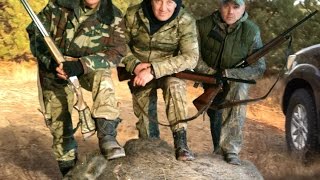 Загонная охота на кабана, косулю. Удачно! 30/11/2014
