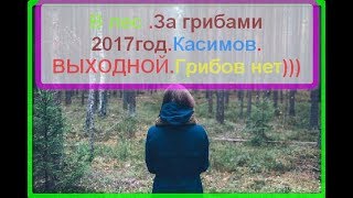 Касимов. Шостье.Поездка в лес. За грибами 2017 год. Выходной день. Потеплело. Грибов нет