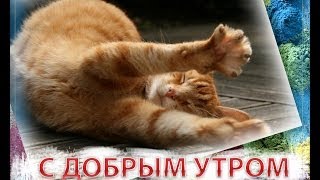 Лучшая открытка С ДОБРЫМ УТРОМ