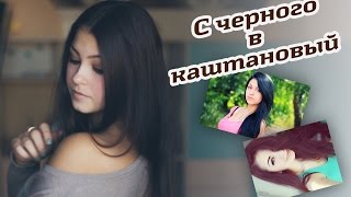 С чёрного в каштановый/с брюнетки в шатенку (смывка Estel Color Off)