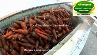 Машина очистки моркови жесткими валами GB-1000 от РостПищМаш