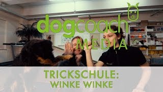 Hunde Trickschule: Winke Winke