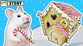 Hamster GingerBread House ? Christmas Hamster Playground