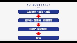 【ひざ痛専門整体院 京四郎 -KYOSIRO-】ひざ痛の原因や筋膜はがし、PAMについて