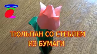 Как сделать тюльпан из бумаги своими руками. Стебель для тюльпана оригами.