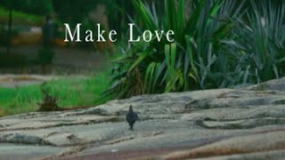 Make Love  | The Dewarists (S02E04)