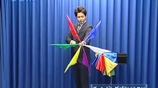 チェンジングパラソルDX