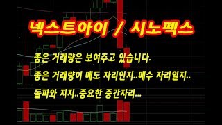 [주식 이영수] 넥스트아이 시노펙스 주가 흐름 종목 주가 분석