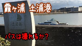 霞ヶ浦 土浦港で水中動画撮影！