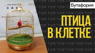 Птица в клетке. Сон Алисы. Бутафория для квеста