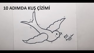 10 ADIMDA ÇOK KOLAY KUŞ ÇİZİMİ - KOLAY RESİM ÇİZME