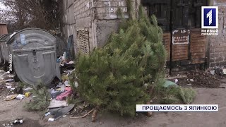 Куди подіти ялинку після новорічних свят?