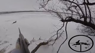 Охота На Зайца /Новогодний Заяц /Последняя Охота 2019-2020Года/Охота в Запорожской Области