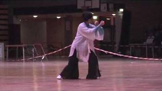 Taijiquan - Faye Li Yip - Sun Style