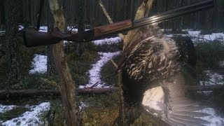 ОХОТА НА ГЛУХАРЯ НА ТОКУ.HUNTING FOR GROUSE ON A LEK.