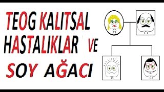 KALITSAL HASTALIKLAR-SOY AĞACI SORU ÇÖZÜMÜ(10DK)