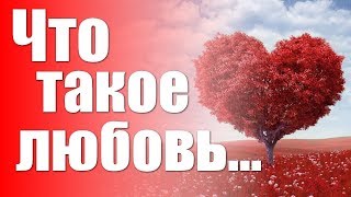 Что такое любовь. Стадии любви