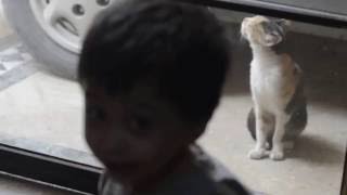 Baby & Cat Interesting Conversation --- Funny Must Watch | Life Skills TV