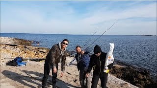 prova a non ridere! Le scene più divertenti,fra i miei video, ecco le mie veline a pesca