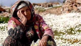 Ana Segahı (Baloğlan Eşrefov) Azerbaijani Song on Mams