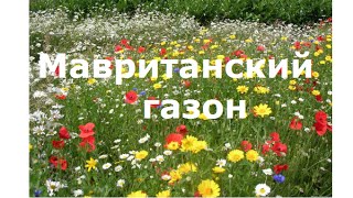 ??? Мавританские #газоны и луговые #цветы Техаса