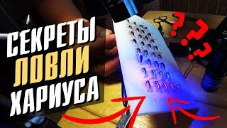 Секреты ловли Хариуса. Как вязать уловистые мушки?