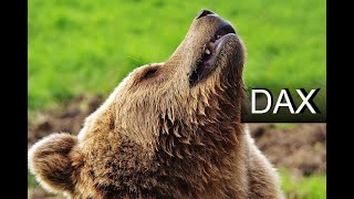 Dax Analyse 28.01.2020