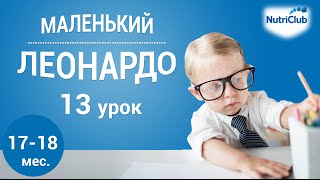 Интеллектуальное развитие ребенка 1,5 лет по методике "Маленький Леонардо". Урок 13