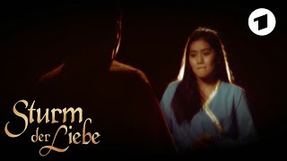 Dirks Albtraum | Sturm der Liebe