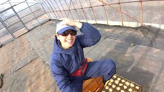 農園再開シリーズ素人嫁ドタバタ種まき編200203