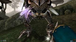TES III: Morrowind #24 (с модами). Прохождение
