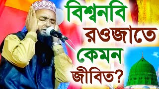 বিশ্বনবী র‌‌ওজাতে কেমন জীবিত? মাওলানা রবিউল ইসলাম | Maulana Robiul Islam New Waz HD