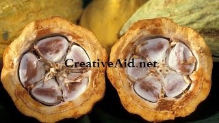 أشياء نتناولها يوميا لكن لا نعرفها