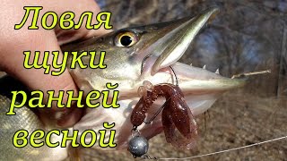 Ловля щуки ранней весной на спиннинг. Микроджиг, джиг в марте
