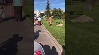 Девушка без нижней одежды ходит по городу!