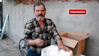 где купить мицелий (грибницу) вешенки, зерновой мицелий