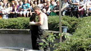 Tolle Seelöwenshow im Kölner Zoo