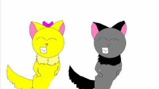 numa numa cat dance!!!