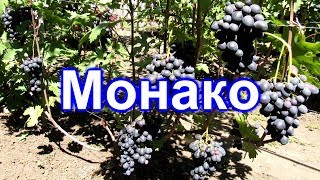 Монако 15.08.2018