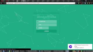 Bypass Captcha