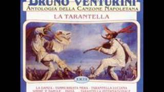 Bruno Venturini La danza tarantella napoletana