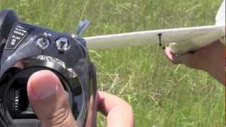 ラジコン飛行機！ 手投げグライダー Alula R/C Side Arm Launch Glider