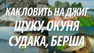 ДЖИГОВАЯ ЛОВЛЯ ОКУНЯ, ЩУКИ, СУДАКА СПИННИНГОМ