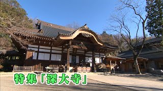 特集「深大寺」